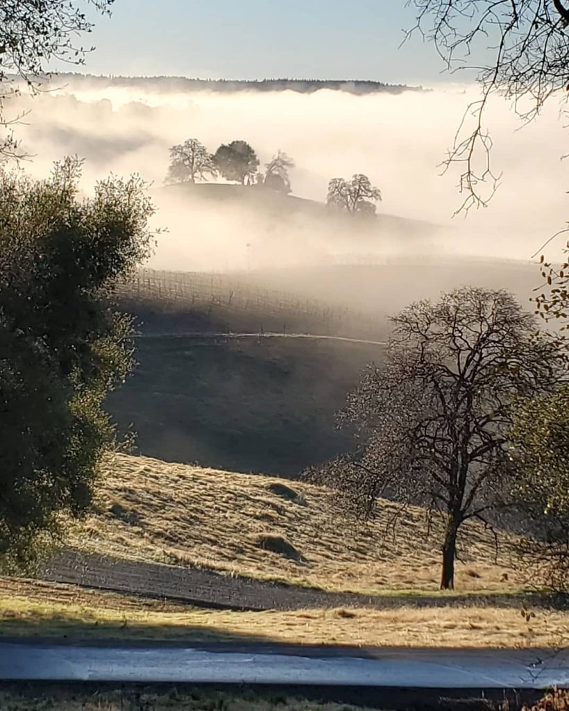 FoggyHills