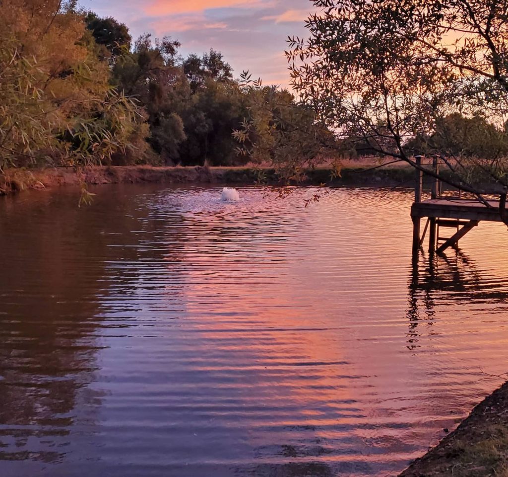 Lake