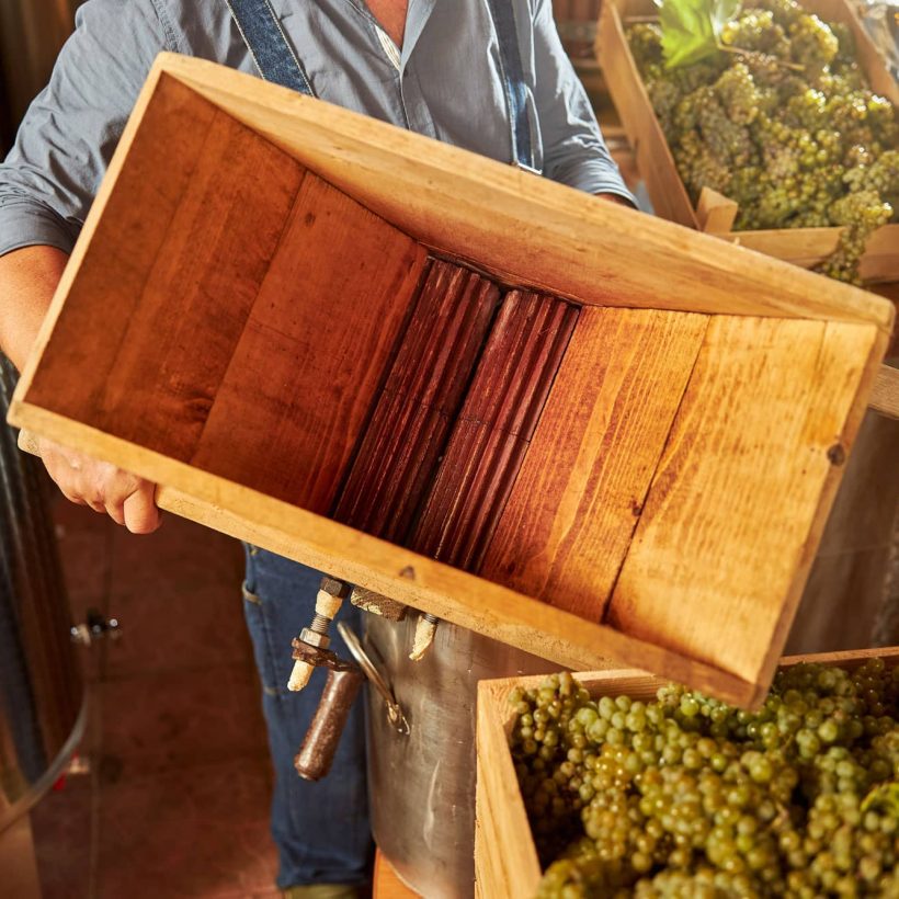 wine-making